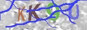 Kontrolní text